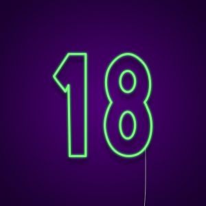 18 Neon Light Sign