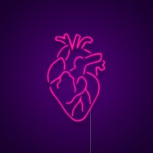 Heart Neon Sign