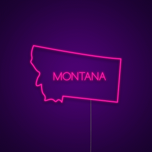 Montana USA States Neon Light Sign