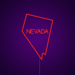 Nevada USA States Neon Light Sign