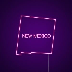 New Mexico USA States Neon Light Sign