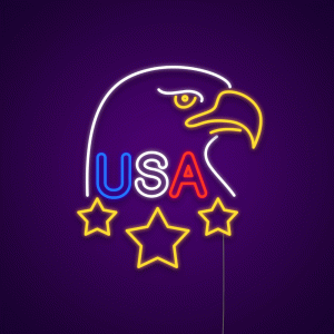 USA Eagle Neon Light Sign