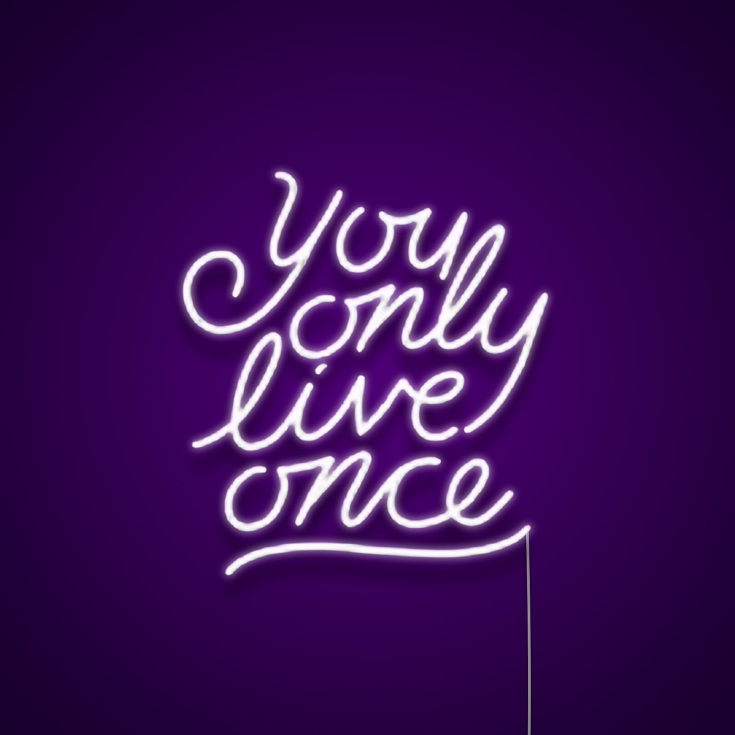 you only live once neon sign